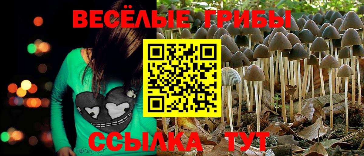 где купить наркоту  Псилоцибиновые грибы ЛСД  Вход с VPN  Валуйки 